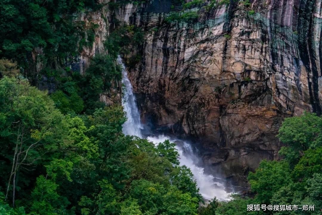 虫虫助手下载